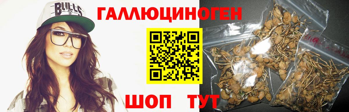 Галлюциногенные грибы Psilocybine cubensis  Вход с VPN  Сафоново 